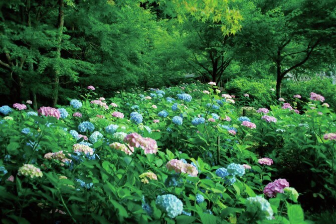 じゃらん〈公式〉 on X