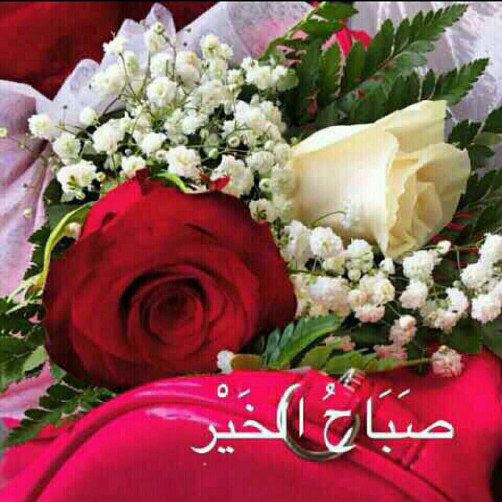 ليست السعادة في ان تملك كل شي ..
وإنما السعادة ان يسعدك الله بما اعطاك ويرضيك بما آتاك ..

صباحكم كله رضا وسعادة أبدية..❤️