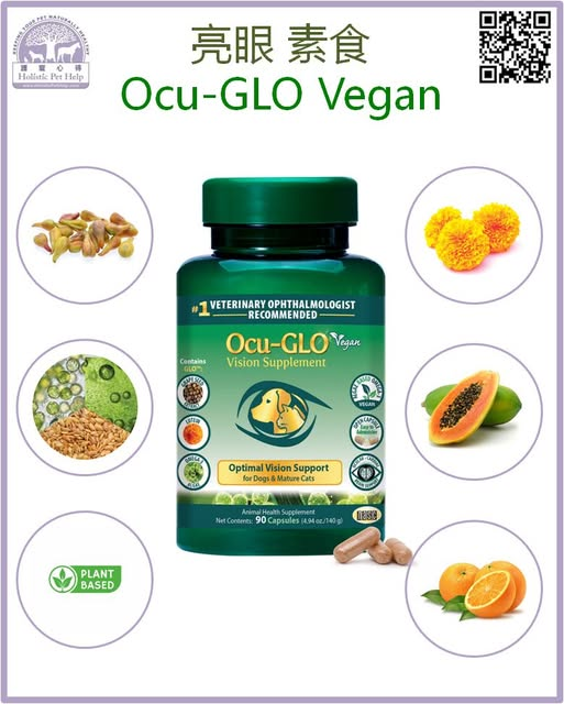 New Ocu-GLO Vegan
In stock! 
holisticpethelp.com/en/OCU-GLO-VEG…
#護寵心得 #HolisticPetHelp #亮眼 #貓 #狗 #vegan #OcuGLO #Omega #眼睛 #美國製造 #新 #new
