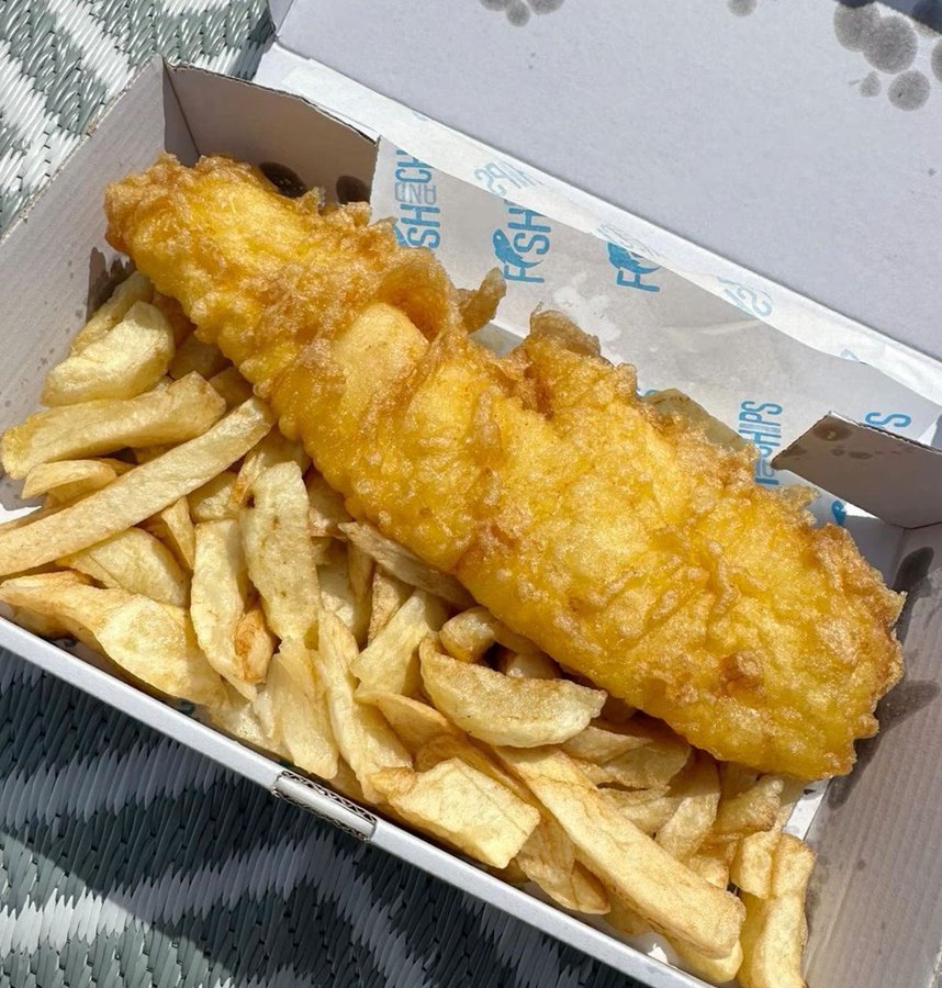 avocado_wacho's tweet photo. What are you adding?

#fishchronicles https://t.co/xUPFMTFcid