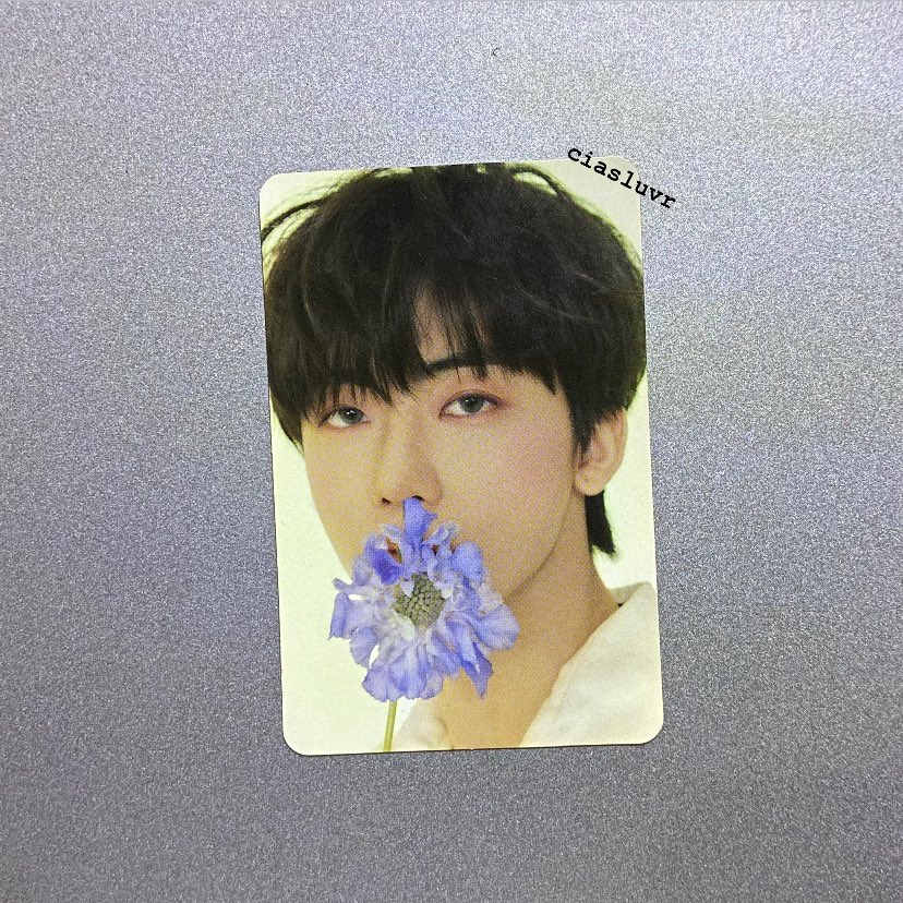distafiles's tweet photo. — SERIOUS BUYER ONLY

ayo guys takeall 200k aja udh inc all, lagi bu parah soalnya😭💔

berminat dm aja yaa!! nanti aku langsung kirimin link shopee untuk co nya + video condi

#wts #jaemin #NCTDREAM #kpop #pc https://t.co/pvrzNgukrC
