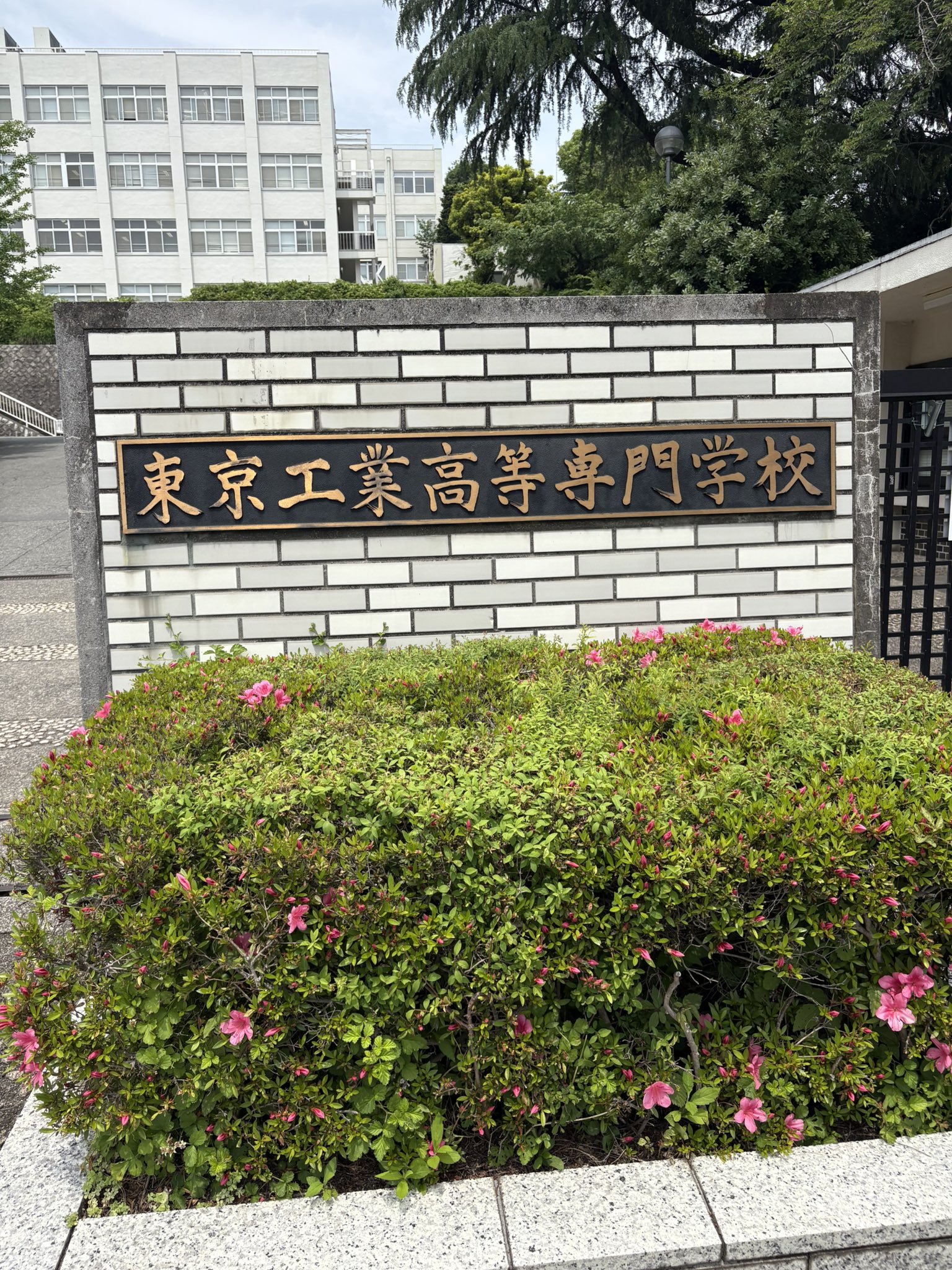鈴木信太郎 「みかん」 油彩 F6号 真作保証 東美鑑定評価機構