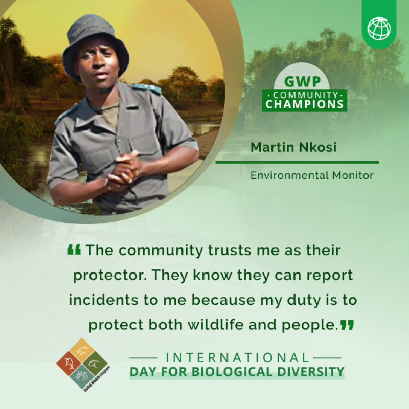 WBG_Environment's tweet photo. From South Africa to Ecuador, meet the community champions shaping a future with nature and wildlife — with support from the #GlobalWildlifeProgram.
https://t.co/sJClY1D7Qc
#BiodiversityDay | @theGEF