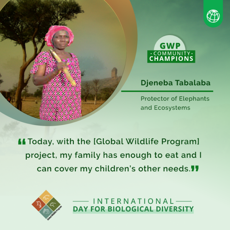 WBG_Environment's tweet photo. From South Africa to Ecuador, meet the community champions shaping a future with nature and wildlife — with support from the #GlobalWildlifeProgram.
https://t.co/sJClY1D7Qc
#BiodiversityDay | @theGEF