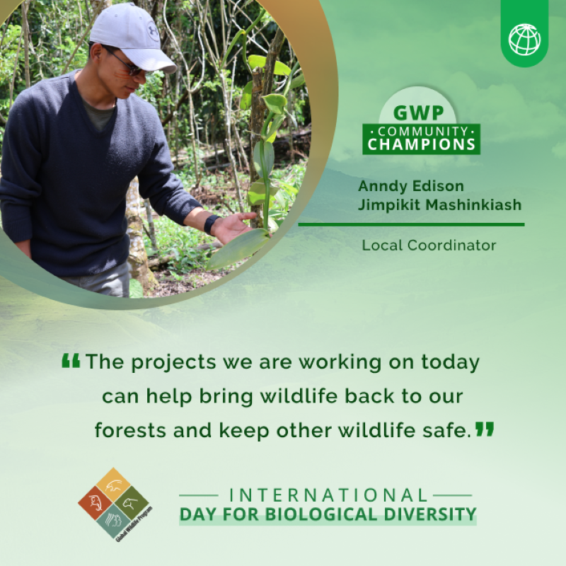 WBG_Environment's tweet photo. From South Africa to Ecuador, meet the community champions shaping a future with nature and wildlife — with support from the #GlobalWildlifeProgram.
https://t.co/sJClY1D7Qc
#BiodiversityDay | @theGEF