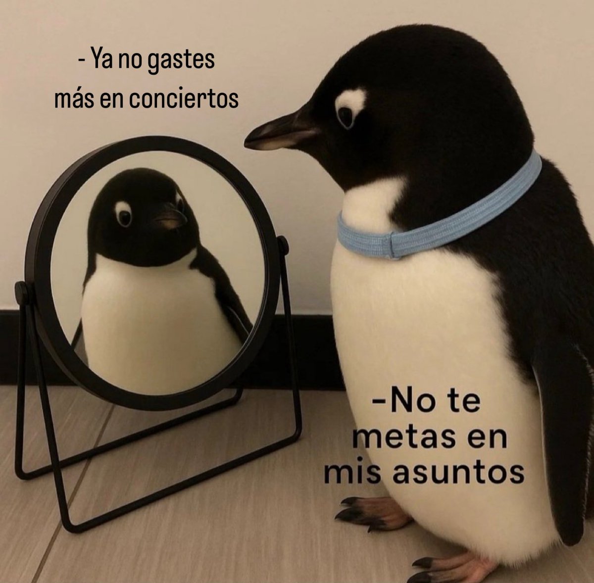 Miguel_G_1_1's tweet photo. https://t.co/ImNvUUpXfg