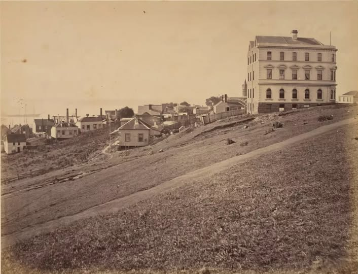 Auckland, remember when you could just build something dramatically out of scale and character in the low-rise central suburbs and no-one cared (that's the Northern Club)