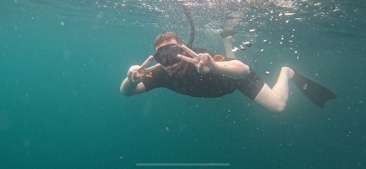 CC____14's tweet image. The Galapagos 🇪🇨