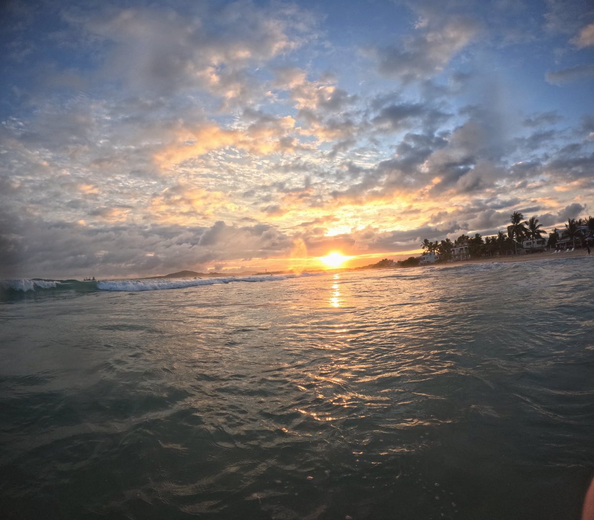 CC____14's tweet image. The Galapagos 🇪🇨