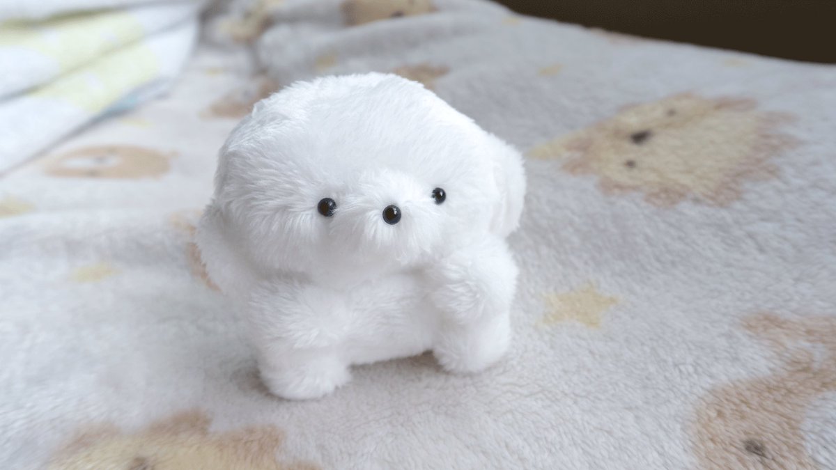 あつすぎ　なので　さまかと