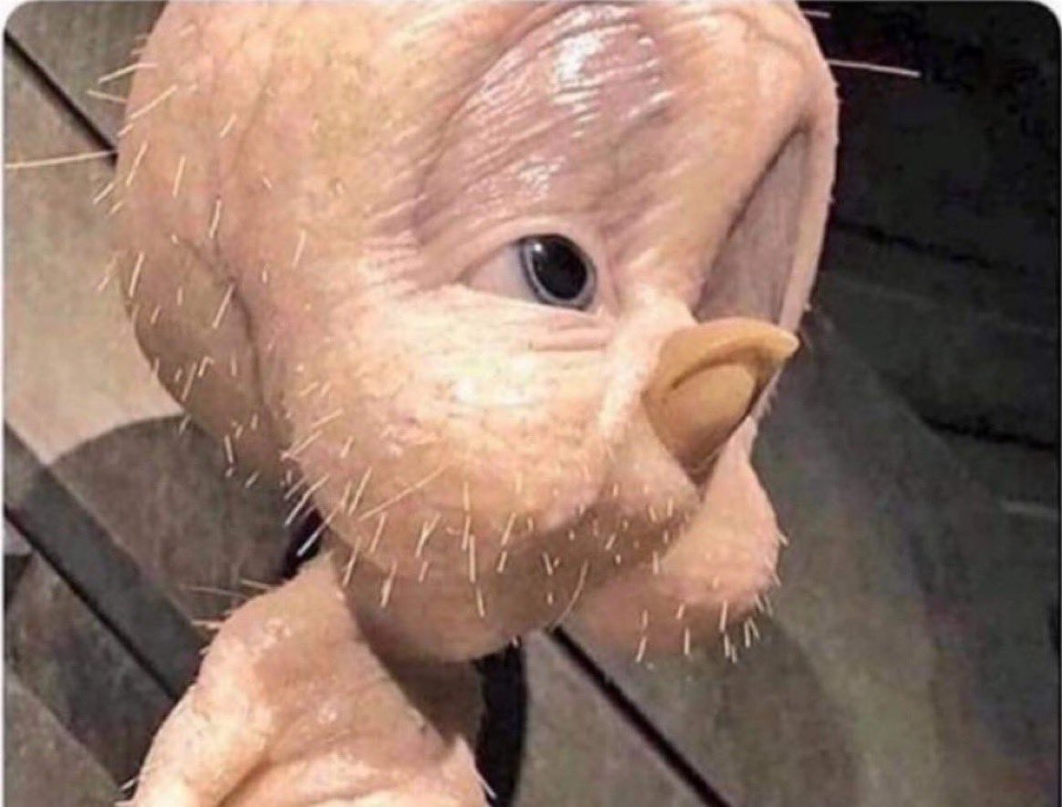 My ballsack in this damn heat