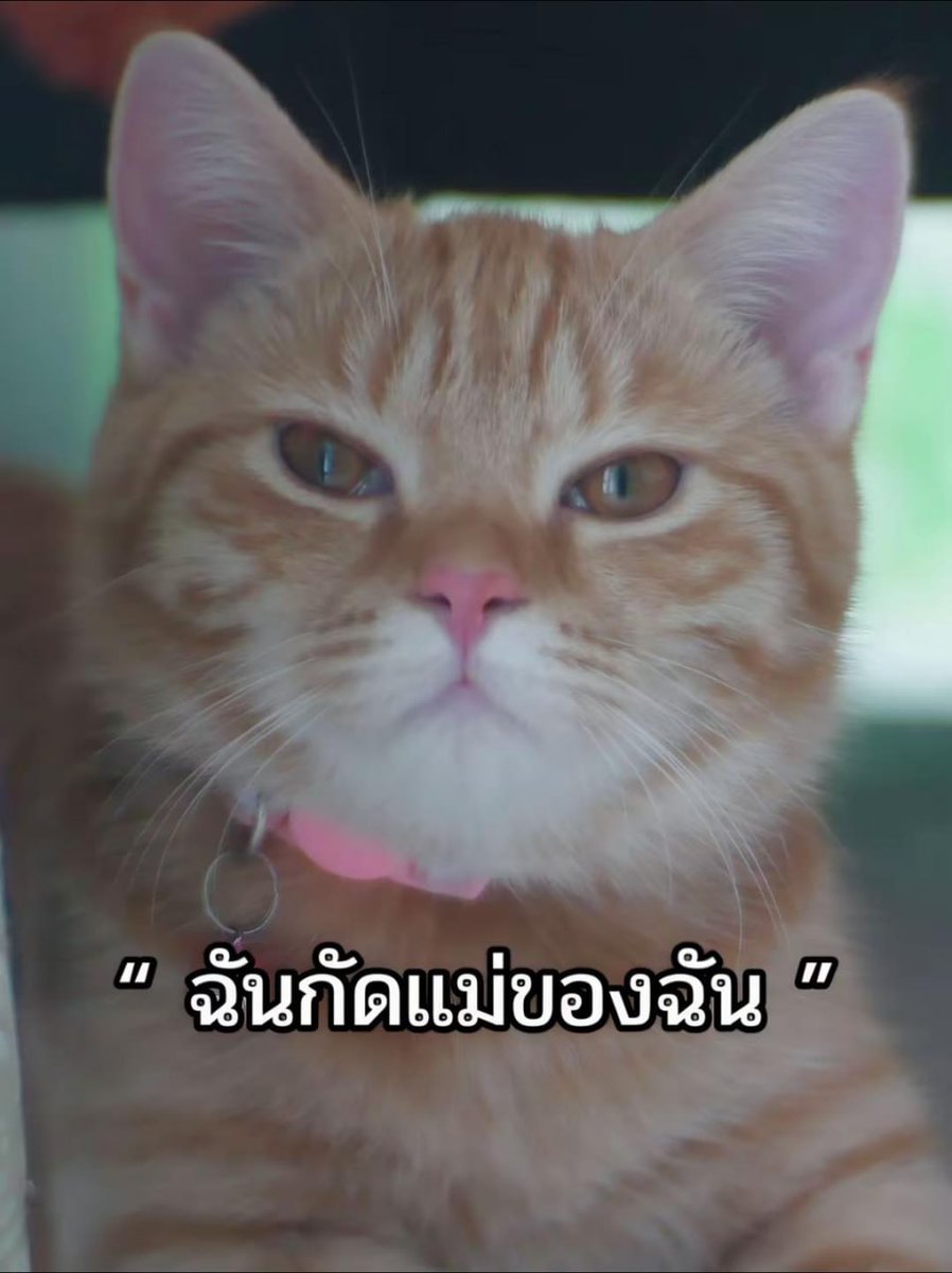 wenzeko's tweet photo. สวบหมดไม่สนบุญคุณ https://t.co/qOnkE3VLRc