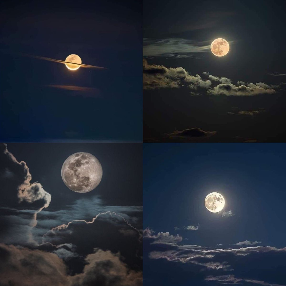 moonloverxjpg's tweet photo. amante de la luna https://t.co/1jfDUfzT7b