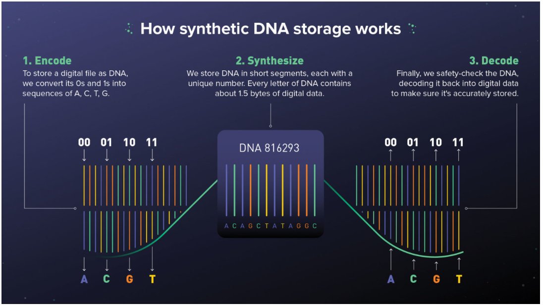 ZiaShaun's tweet image. #DNA #Nucleotides #DigitalSignalProcessing #Encoding #Decoding