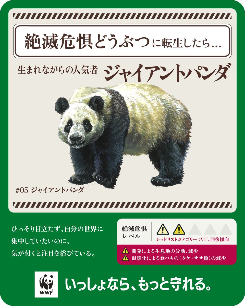 今日、5月22日は #国際生物多様性の日。 #WWFジャパン は現在、絶滅のおそれのある #野生動物 の現状を多くの方に知っていただくため、 #絶滅危惧どうぶつ転生診断 を公開しています🐼

👉診断サイト x.gd/ZvSSZ

#いっしょならもっと守れる