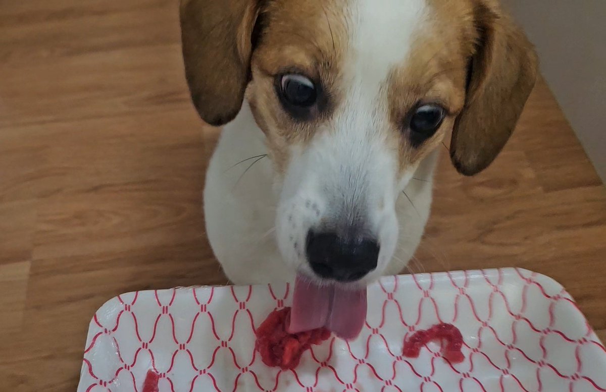 노동하고 ✨️1등급 한우 육회✨️ 입금 받으셨습니다