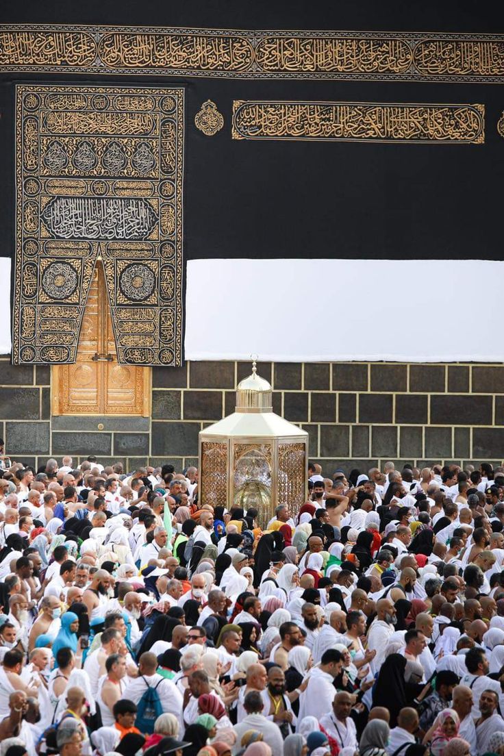 Ali (@ali447634756843) on Twitter photo 