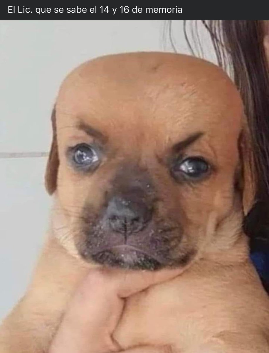 La vida es bien difícil, más cuando eres docente de preparatoria, estamos en finales y me están explotando como no tienen idea