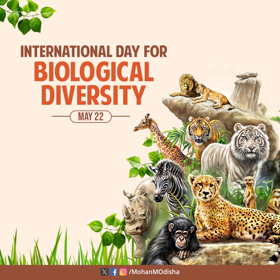 From the whispering mangroves of Bhitarkanika to the tranquil waters of Chilika, #Odisha breathes biodiversity. On this International Day for Biological Diversity, let’s honour nature’s harmony and vow to protect its every note. #BiodiversityDay