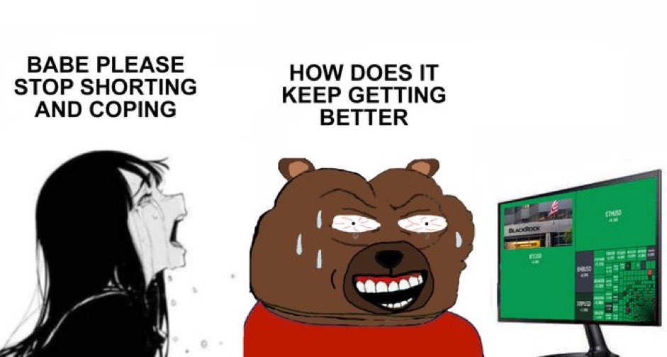 0xBoolman tweet media