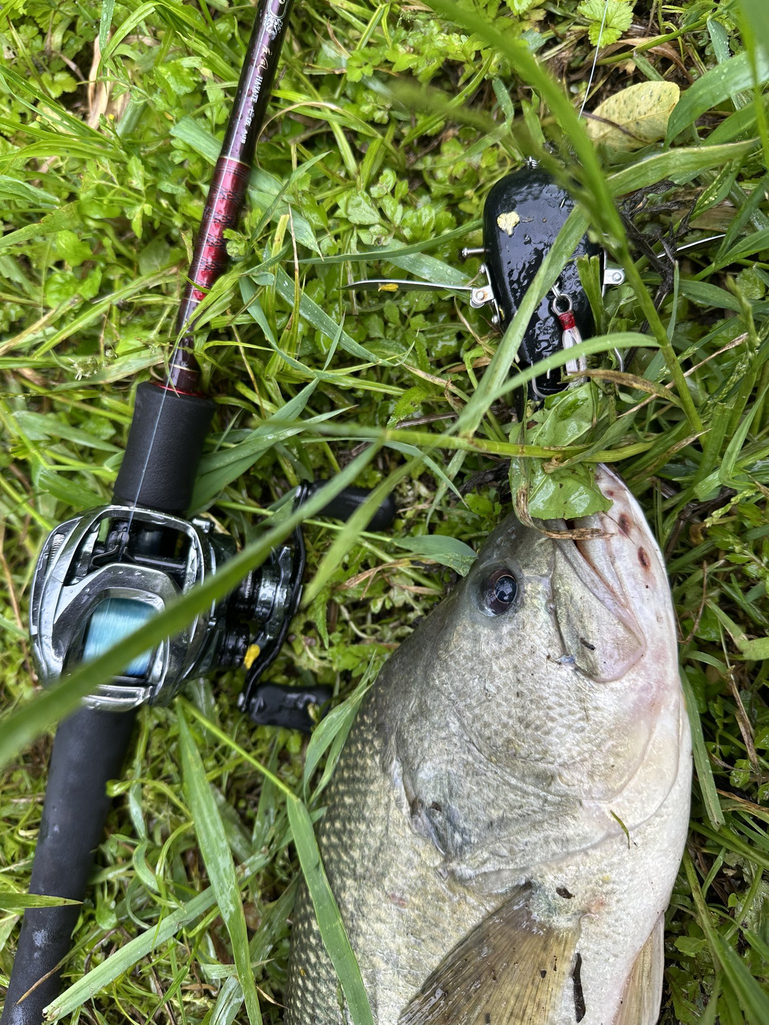 バス釣り バス釣りルアーセット バスルアー セット販売 ルアーセット