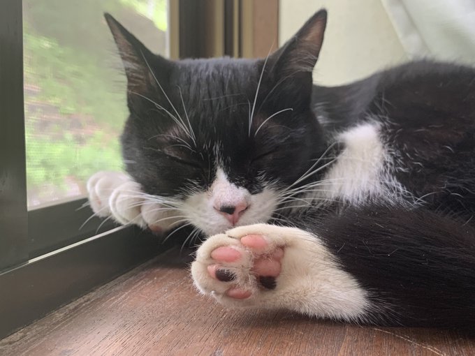 病院で診てもらいました
まだちょっと体力回復してないかな 