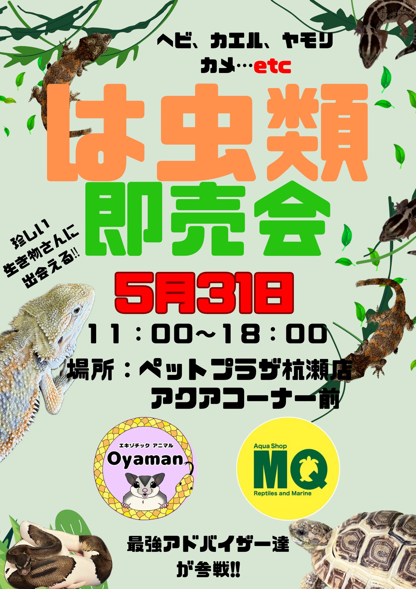 エキゾチックアニマル Oyaman 6/1JH大阪 (@Oyaman0910) / X