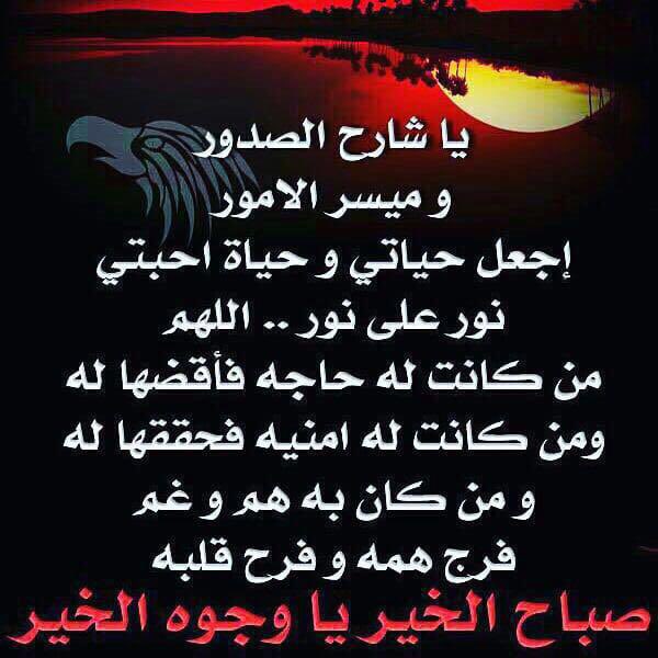 محمد منصور (@mmansourf16) on Twitter photo 