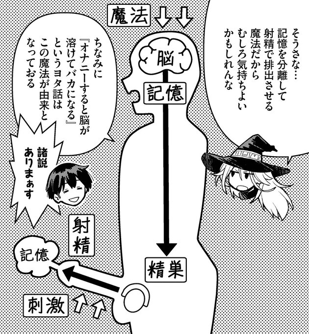 諸説あるらしい🤔 