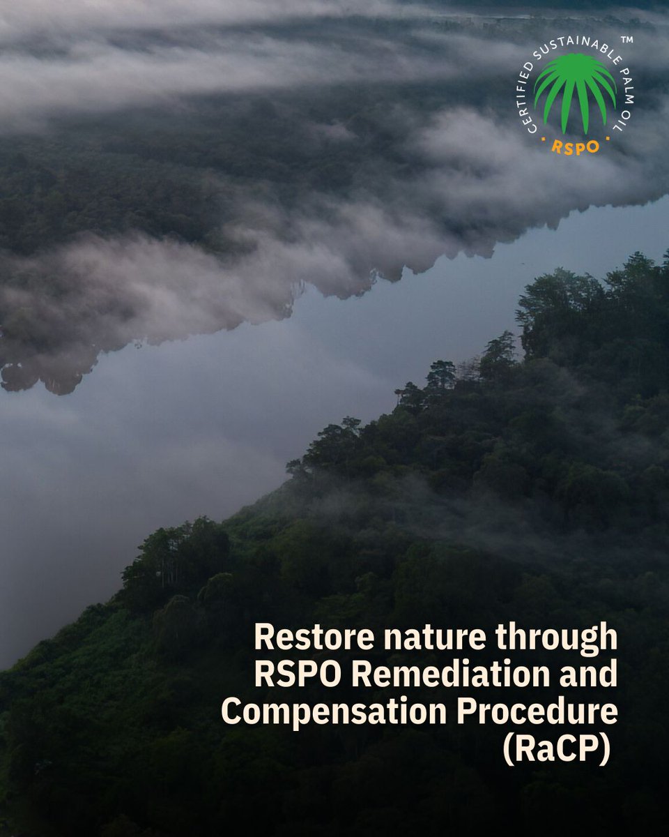 RSPOtweets's tweet image. On this #BiodiversityDay, we reaffirm our commitment through our RSPO Standards to conserving forests, protecting wildlife, and preserving the natural wonders that enrich our planet.