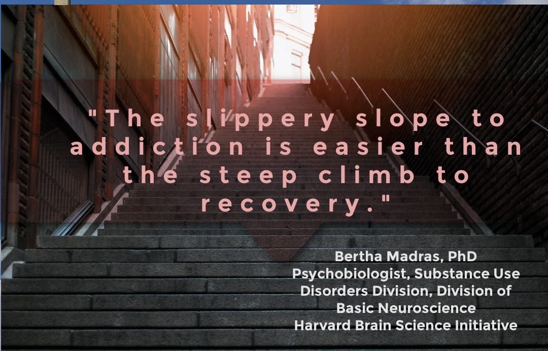 Parents Opposed to Pot tweet media