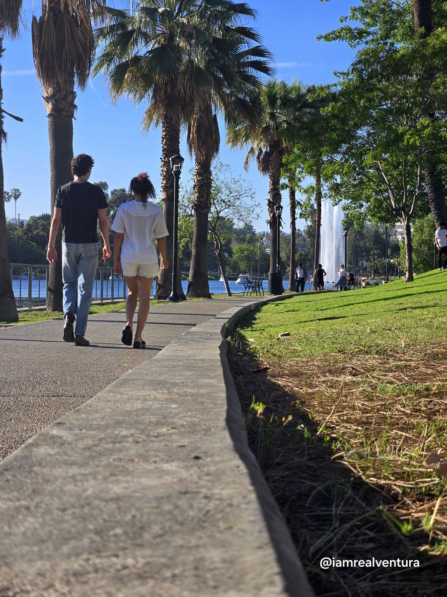 The Real Ace Ventura🇺🇸 (@iamrealventura) on Twitter photo 