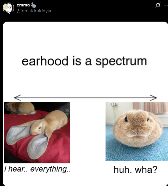 emma 🐇 tweet media