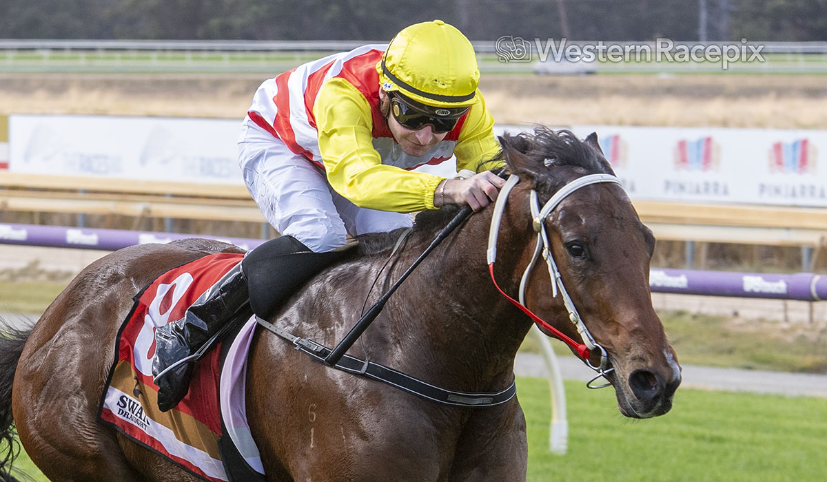 WesternRacepix's tweet image. ORDER ONLINE - Pinjarra Thurs 22nd May
@PinjarraPark #WesternRacepix #PinjarraRaces  

More 📷 wwww.westernracepix.com