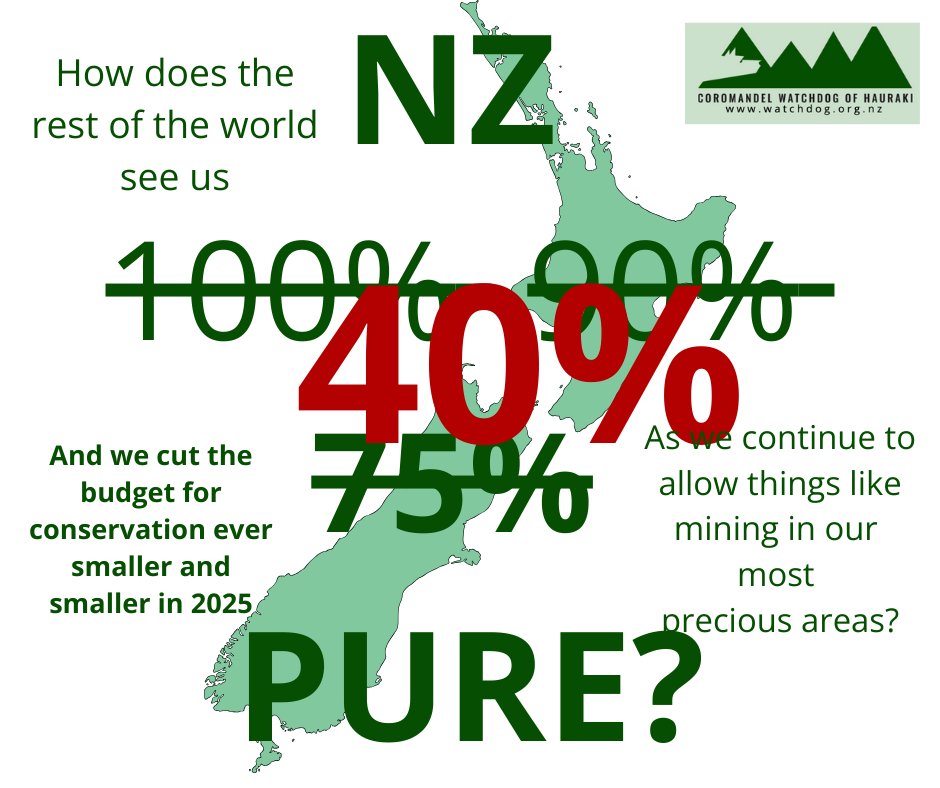 Coromandel Watchdog of Hauraki tweet media