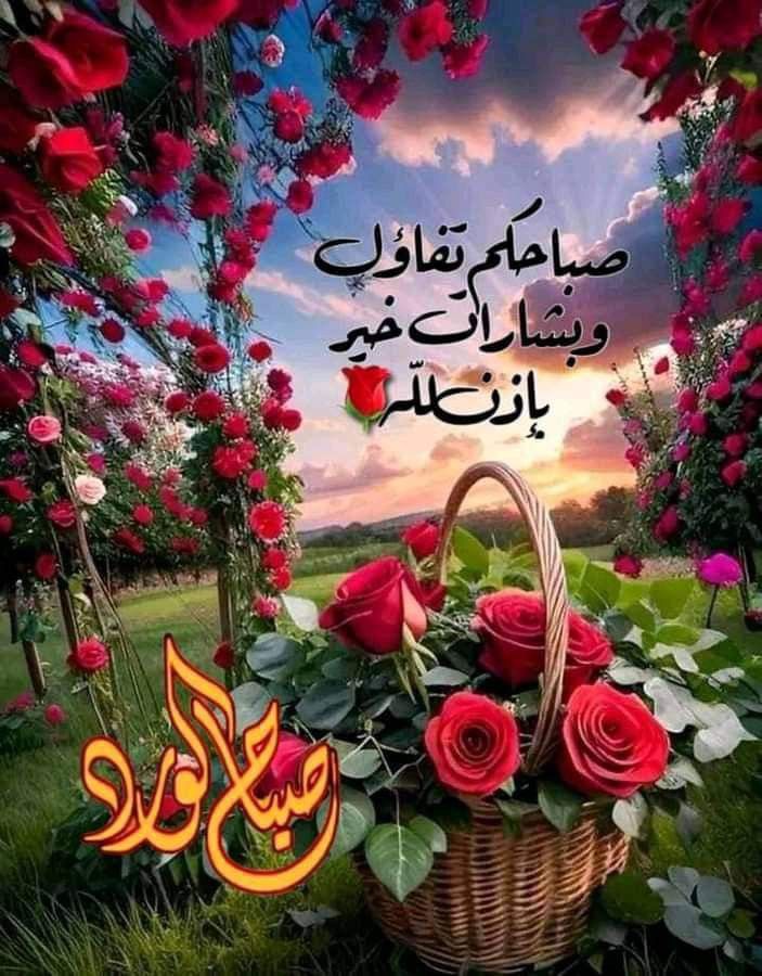 וࡅٜߺࡅ࠭ߺ וࡎߺ𐬛ࡋߺ 🉐 tweet media