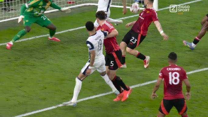 Erik lamela cult member tweet media