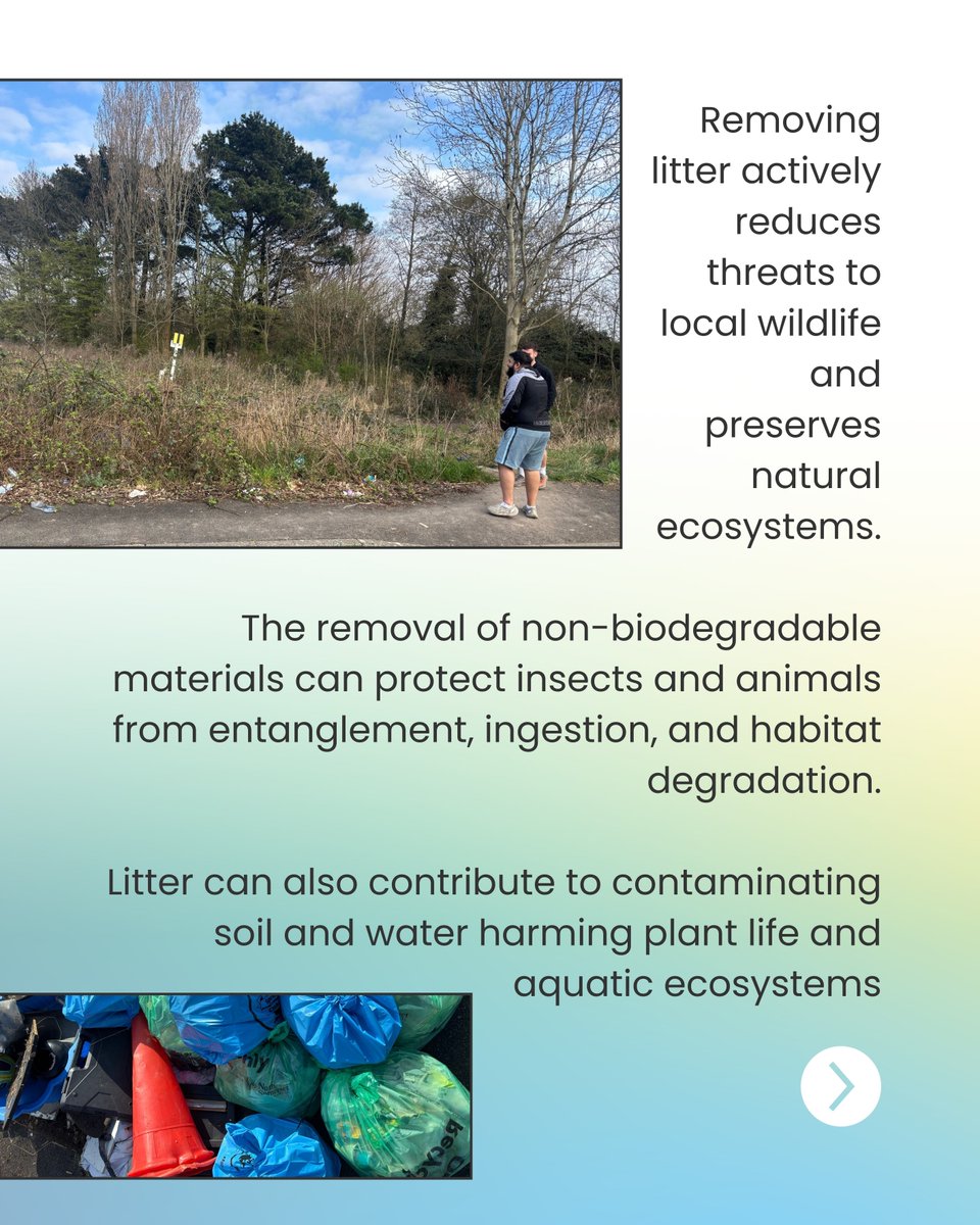 Hunter Selection | B Corp™ (@hunterselection) on Twitter photo Today we wanted to highlight some of the amazing work <a href="/TTTPortishead/">Turn the Tide Portishead</a> have been doing with our brilliant Service & Sales team 💪🏻
Have a read through the pictures to find out more about how litter picking in your local area can directly benefit and encourage biodiversity 🌿 (2/3) Today we wanted to highlight some of the amazing work <a href="/TTTPortishead/">Turn the Tide Portishead</a> have been doing with our brilliant Service & Sales team 💪🏻
Have a read through the pictures to find out more about how litter picking in your local area can directly benefit and encourage biodiversity 🌿 (2/3)