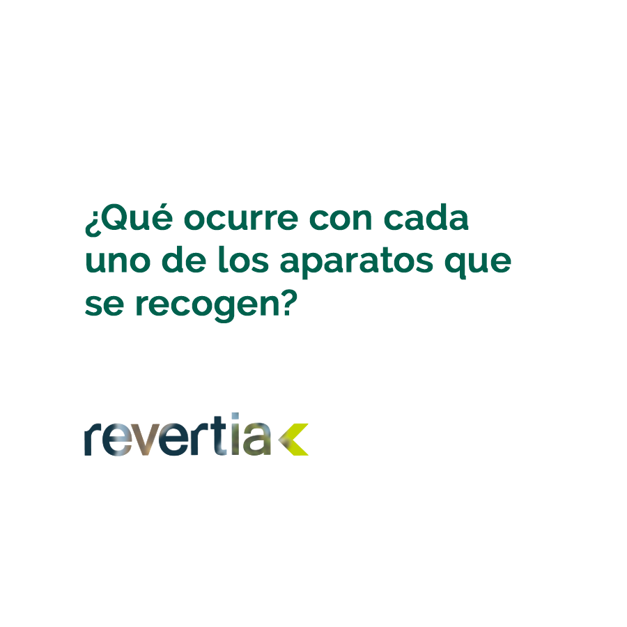 revertia tweet media