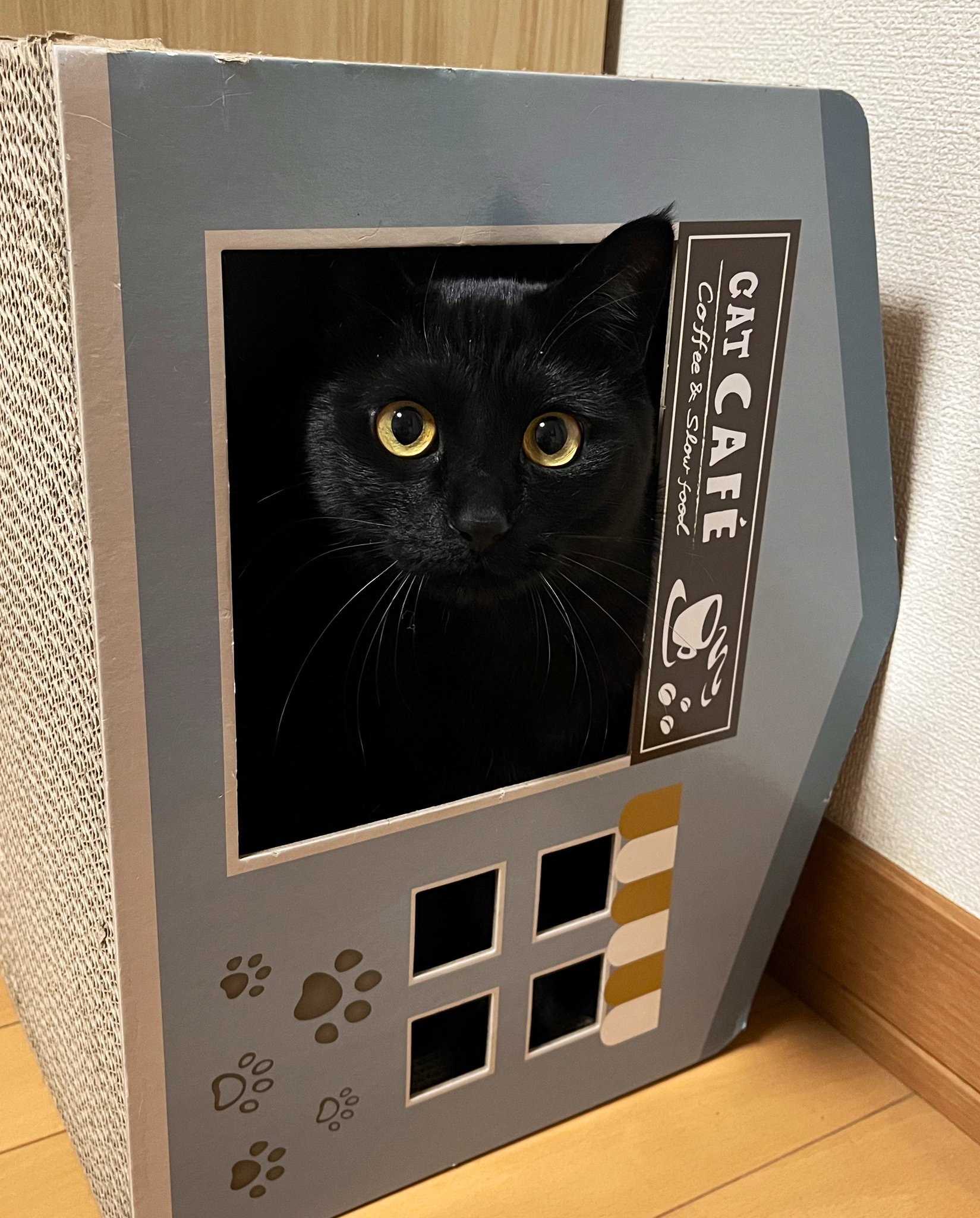 【ネット限定】 うに2才 on X:  テープ・マスキングテープ