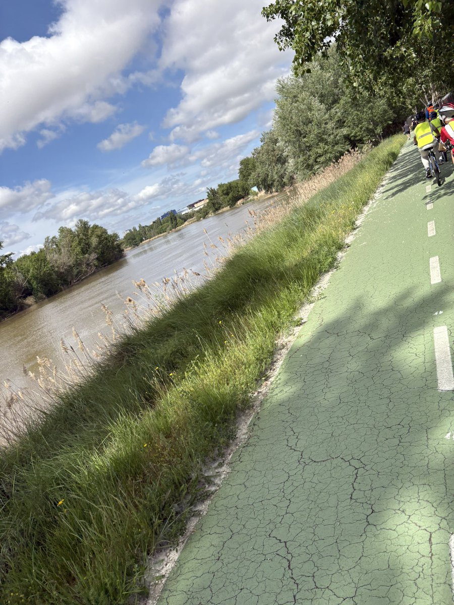 Kings Lander Primary Academy tweet media