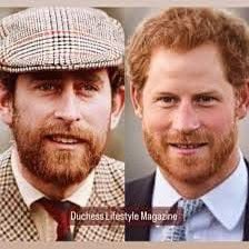 Astined Design tweet media