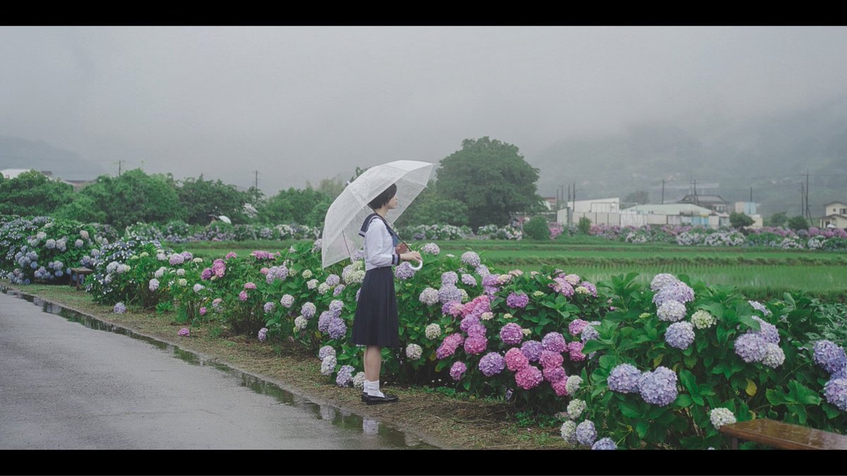 Takano_Shiho's tweet image. 夏に匂いがあるなら