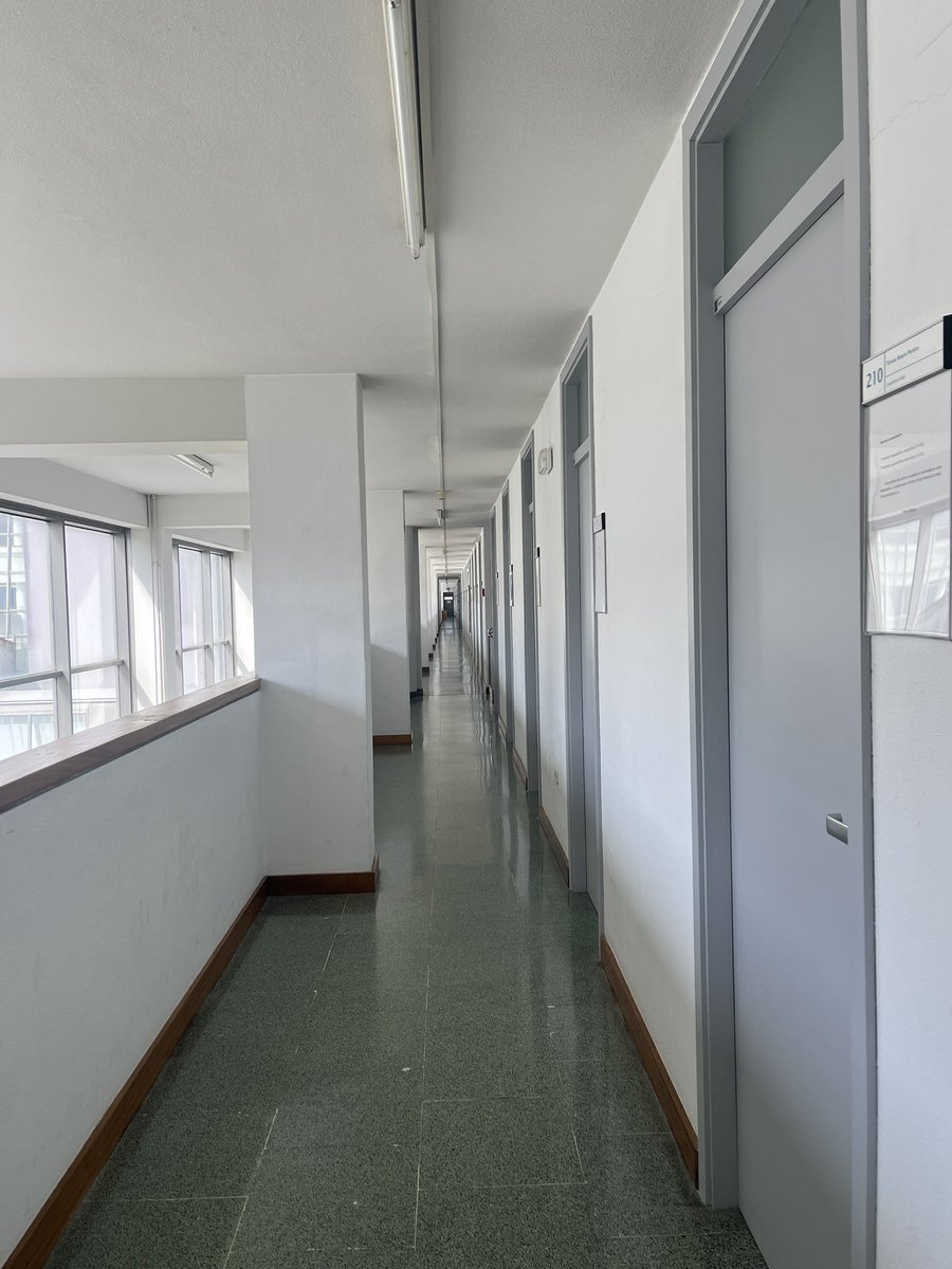 El diseño de esta facultad es carne de psiquiatrico