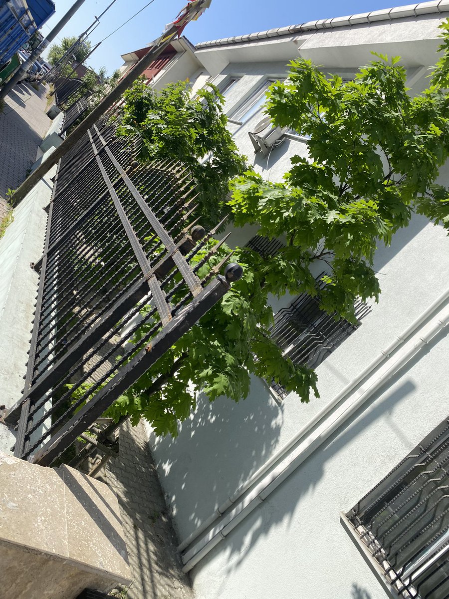 Akçaburgaz aile sağlığı merkezi bahçesini demir korumalıklarını yapan,hastalar için daha güvenli hale getiren park ve bahçeler şefi sevilay palasere ilgi alakası için,müdür İbrahim doğancıoğluna,diğer teknik ekibe,emek veren çalışana kadar teşekkür ederim <a href="/EsenyurtBLDYS/">Esenyurt Belediyesi</a>