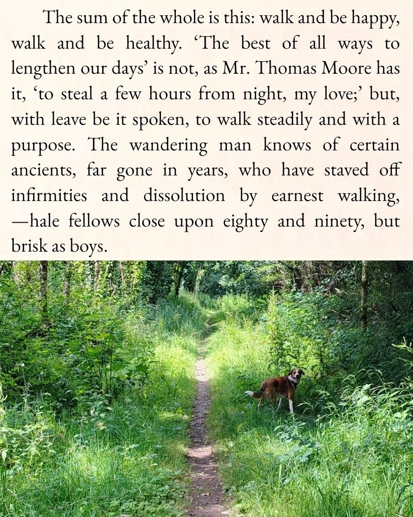 Charles Dickens; walk and be happy.