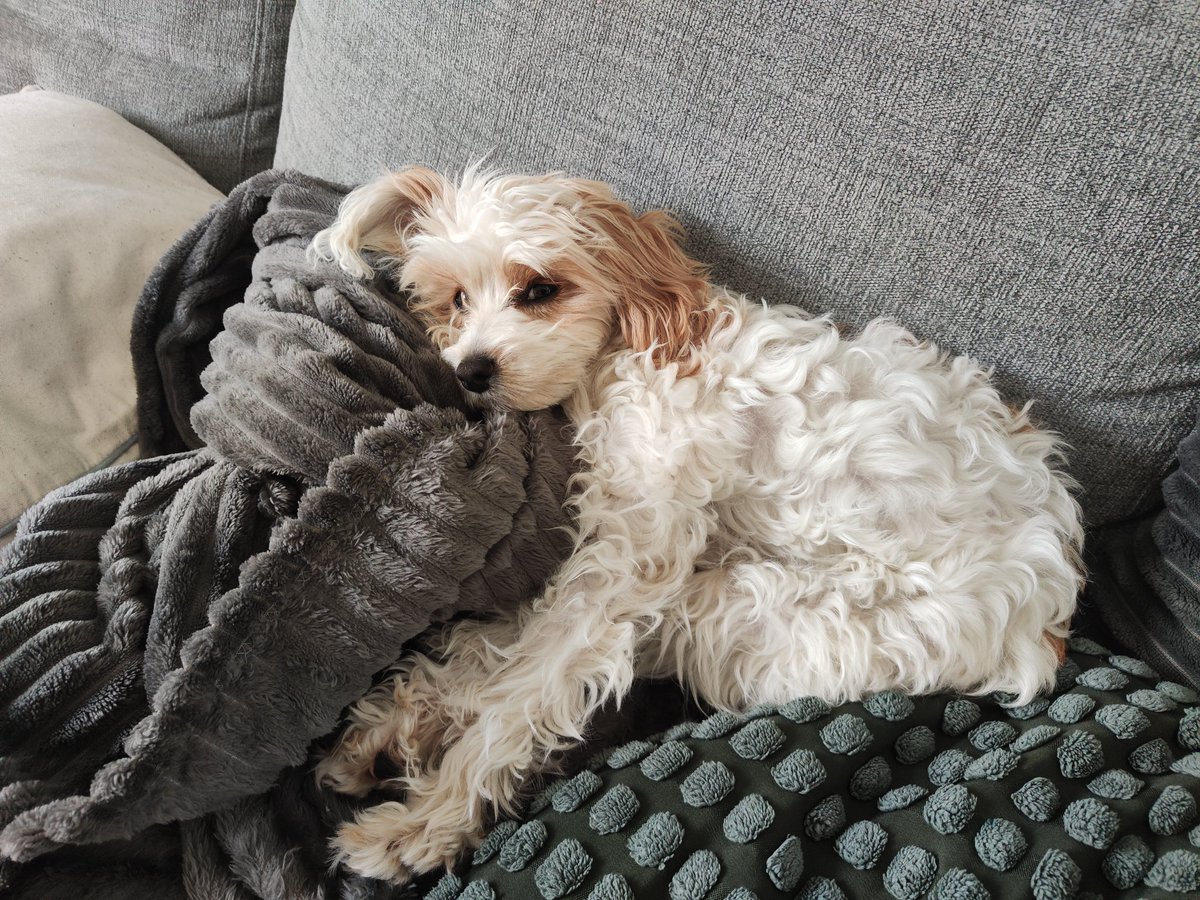 Nya mobilkameran helt ok så här får ni några bilder på Essie The Gold Slayer...