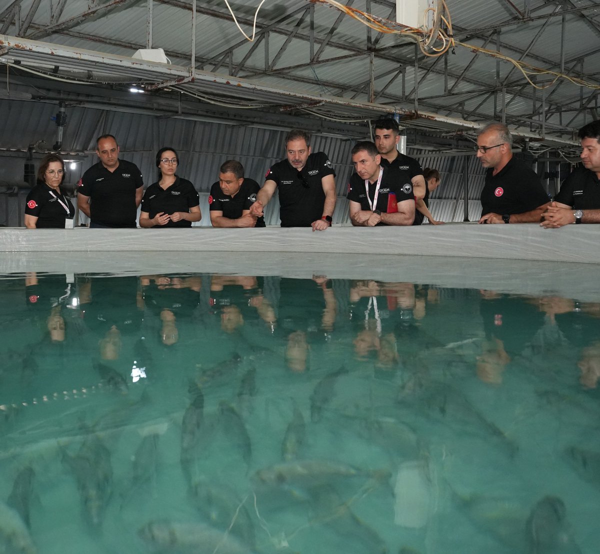 TAGEM Enstitü Müdürleri Faaliyet ve Değerlendirme Toplantısı Antalya’da Başladı

TAGEM Enstitü Müdürleri Faaliyet ve Değerlendirme Toplantısı, 21-23 Mayıs 2025 tarihleri arasında Antalya’da gerçekleştirilmektedir.

Bakanımız İbrahim YUMAKLI ve Bakan Yardımcımız Prof. Dr. Ahmet