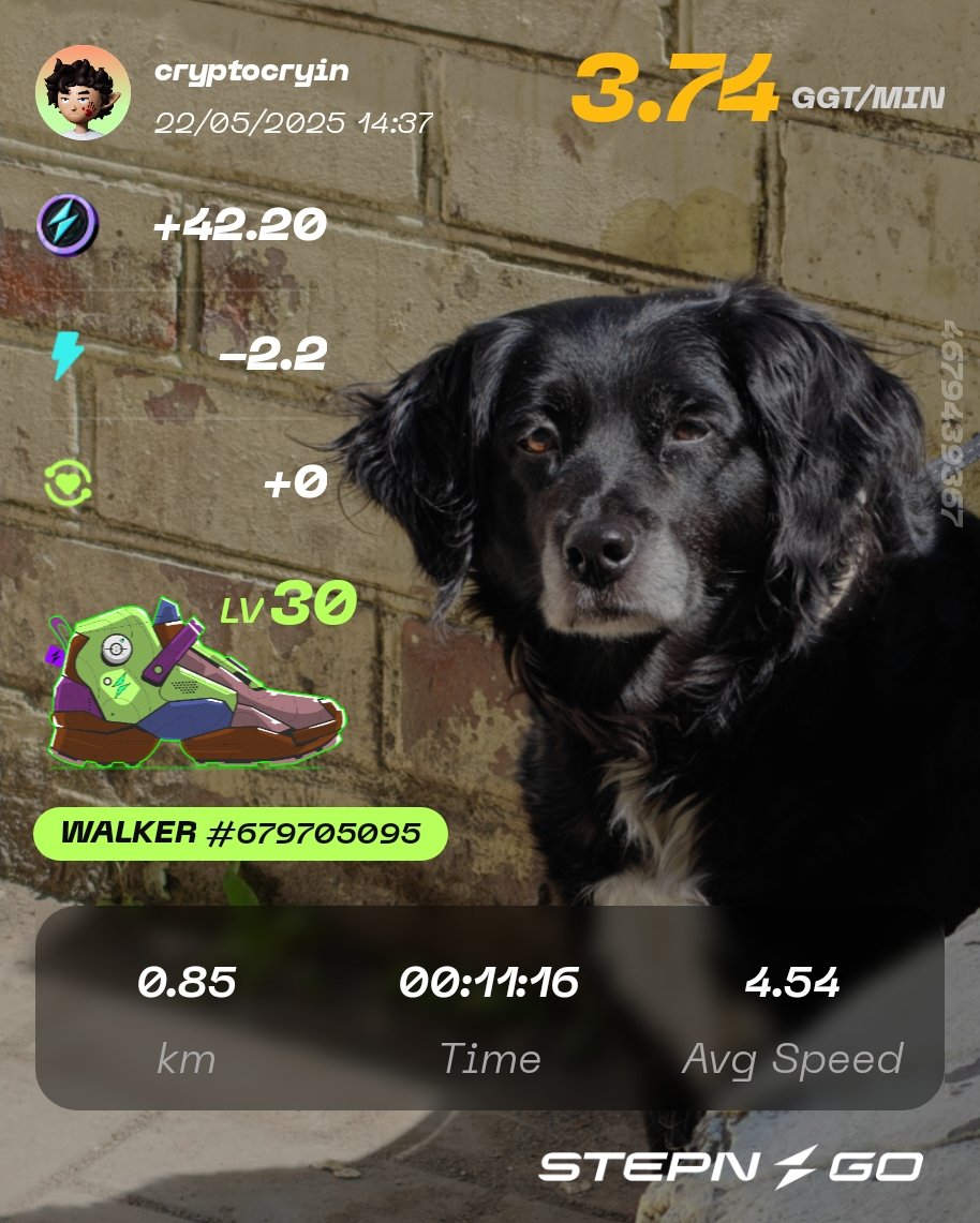 #STEPN #STEPNGO $GMT $GGT