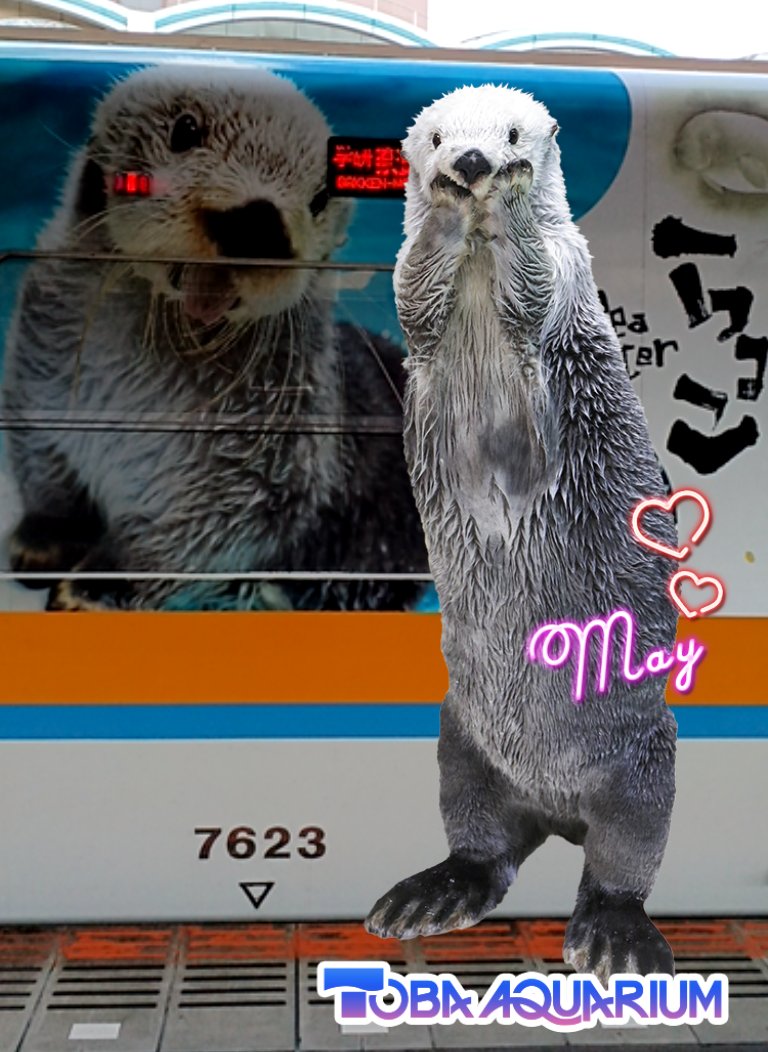 キラちゃんラッピング列車をみんなで見に行くイメージで🤭 #近鉄